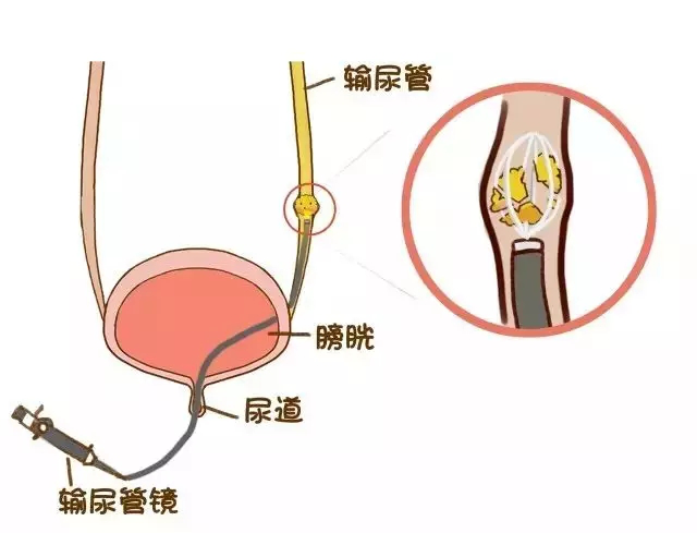 图片9.png